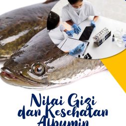 NILAI GIZI DAN KESEHATAN ALBUMIN IKAN GABUS