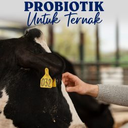 PEMANFAATAN PROBIOTIK UNTUK TERNAK