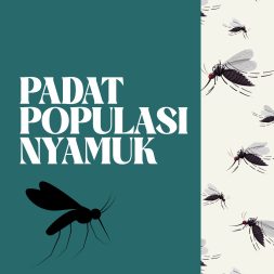 PADAT POPULASI NYAMUK