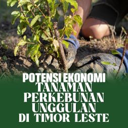 POTENSI EKONOMI TANAMAN PERKEBUNAN UNGGULAN DI TIMOR LESTE