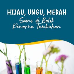 HIJAU, UNGU, MERAH: SAINS DI BALIK PEWARNA TUMBUHAN