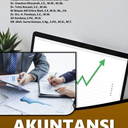 AKUNTANSI PEMERIKSAAN