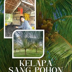 KELAPA SANG POHON KEHIDUPAN