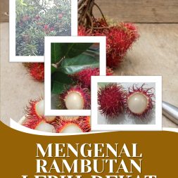 MENGENAL RAMBUTAN LEBIH DEKAT