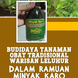 BUDIDAYA TANAMAN OBAT TRADISIONAL WARISAN LELUHUR DALAM RAMUAN MINYAK KARO
